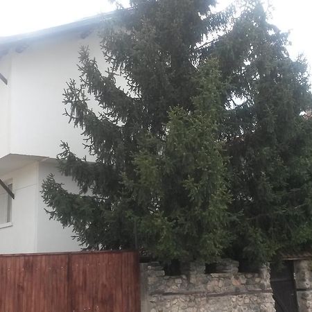 Guest House Khizhina - Easy Home Sapareva Banya Exterior photo